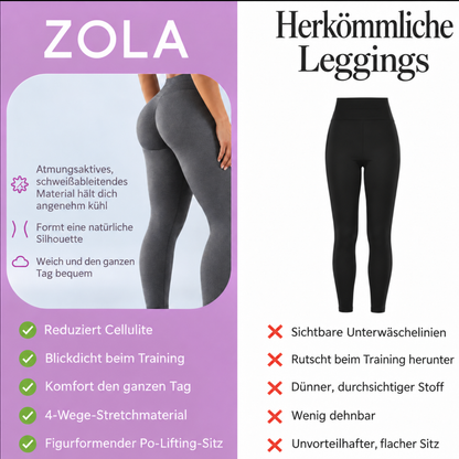 SculptSkin Leggings